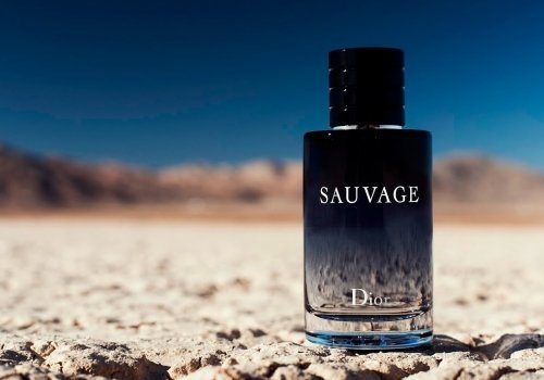 echantillon sauvage dior